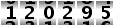 120295