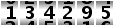 134295