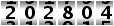 202804