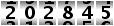 202845
