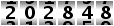 202848