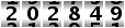 202849