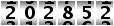 202852
