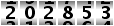 202853