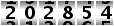 202854
