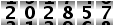 202857