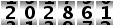 202861