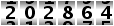 202864