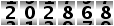 202868