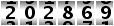202869