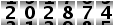 202874