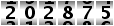 202875