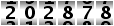 202878