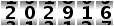 202916