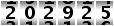 202925