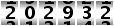 202932