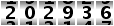 202936