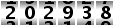 202938