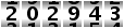 202943