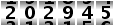 202945
