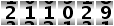 211029