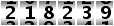 218239
