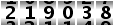 219038