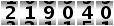 219040