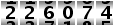 226074