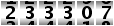 233307