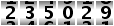 235029