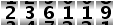 236119