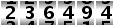 236494