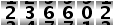 236602