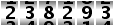 238293