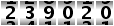 239020