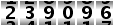 239096