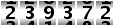 239372