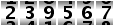 239567