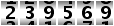 239569