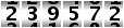 239572