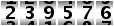 239576