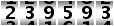 239593