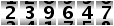239647