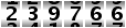 239766