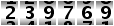 239769