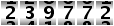 239772