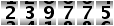 239775