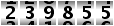 239855