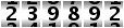 239892